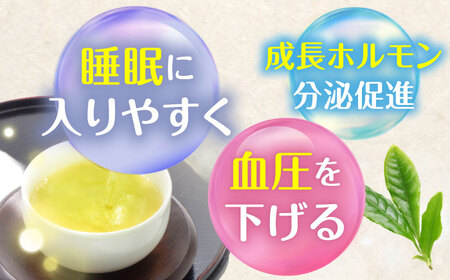 GABA珈琲ティーバッグ10個入×3パック[QAO039]