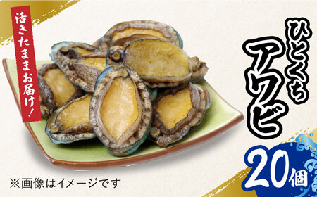 上五島産養殖ひとく アワビ 活 厳選 20個 刺身 ステーキ 生[RAE001] アワビ あわび 刺身 五島 アワビ あわび 刺身 五島 アワビ あわび 刺身 五島九州 長崎