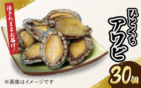 上五島産養殖ひとくちアワビ 活 厳選 30個 刺身 ステーキ 生[RAE002 アワビ あわび 刺身 五島 アワビ あわび 刺身 五島 アワビ あわび 刺身 五島九州 長崎