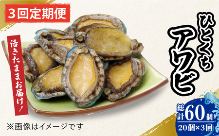【全3回定期便】上五島産養殖ひとくちアワビ 活 厳選 20個 刺身 ステーキ 生[RAE006] アワビ あわび 定期便 アワビ あわび 定期便 アワビ あわび 定期便九州 長崎