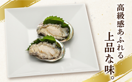 【全3回定期便】上五島産養殖ひとくちアワビ 活 厳選 20個 刺身 ステーキ 生[RAE006] アワビ あわび 定期便 アワビ あわび 定期便 アワビ あわび 定期便九州 長崎