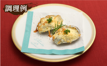 【全12回定期便】上五島産養殖ひとくちアワビ 活 厳選 20個 刺身 ステーキ 生[RAE008] アワビ あわび 定期便 アワビ あわび 定期便 アワビ あわび 定期便九州 長崎