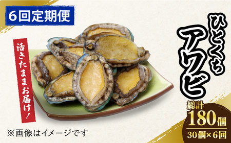 【全6回定期便】上五島産養殖ひとくちアワビ 活 厳選 30個 刺身 ステーキ 生[RAE010] アワビ あわび 定期便 アワビ あわび 定期便 アワビ あわび 定期便九州 長崎