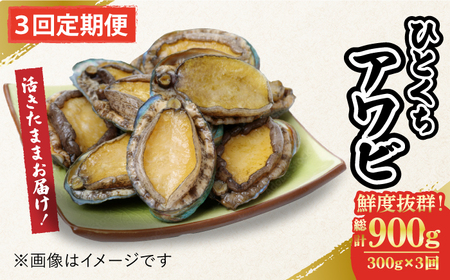 【全3回定期便】上五島産養殖ひとくちアワビ 活 厳選 300g 刺身 ステーキ 生[RAE015] アワビ あわび 定期便 アワビ あわび 定期便 アワビ あわび 定期便九州 長崎