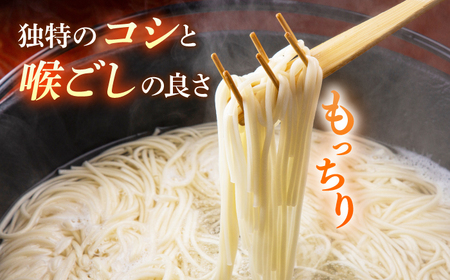 国産小麦五島うどん200g×5袋 飛魚だしつゆ10g×10P [RAP002] うどん 五島うどん うどん 五島うどん九州 長崎 