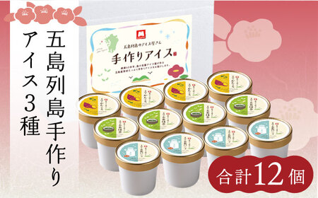 アイス3種 計12個 アイス スイーツ バニラ 抹茶 かんころ 塩 椿油 [RAX001] アイス アイス アイス アイス アイス九州 長崎 スピード発送 最短発送