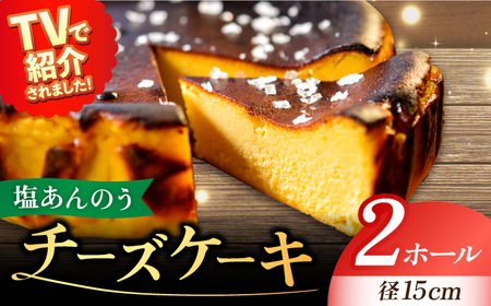 チーズケーキ 塩あんのう 2個 ケーキ 塩 芋 スイーツ お菓子 [RBA004] チーズケーキ チーズケーキ チーズケーキ九州 長崎 スピード発送 最短発送
