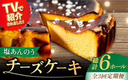 【全3回定期便】チーズケーキ 塩あんのう 2個 ケーキ 塩 芋 スイーツ お菓子 菓子[RBA020] チーズケーキ 定期便 チーズケーキ 定期便 チーズケーキ 定期便 チーズケーキ 定期便九州 長崎