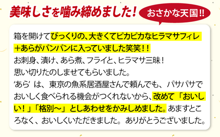 ヒラス（ヒラマサ）アラ付き  養殖 下処理済 真空パック 刺身 ブロック（800g以上）[RBK003] ヒラマサ ヒラス ヒラマサ ヒラス ヒラマサ ヒラス ヒラマサ ヒラス九州 長崎