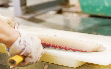 ヒラス（ヒラマサ）アラ付き  養殖 下処理済 真空パック 刺身 ブロック（1.6kg以上）[RBK004] ヒラマサ ヒラス ヒラマサ ヒラス ヒラマサ ヒラス ヒラマサ ヒラス九州 長崎