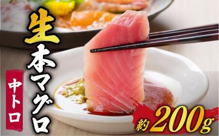 五島列島産養殖生本かみマグロ 中トロ200g マグロ まぐろ 鮪 刺身[RBP002] 本マグロ 本まぐろ 本マグロ 本まぐろ 本マグロ 本まぐろ 本マグロ 本まぐろ 本マグロ 本まぐろ九州 長崎