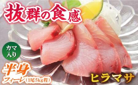 新上五島町産養殖ヒラマサ（ヒラス）片身フィーレ[RBP007] ヒラマサ ヒラス ヒラマサ ヒラス ヒラマサ ヒラス ヒラマサ ヒラス ヒラマサ ヒラス ヒラマサ ヒラス九州 長崎