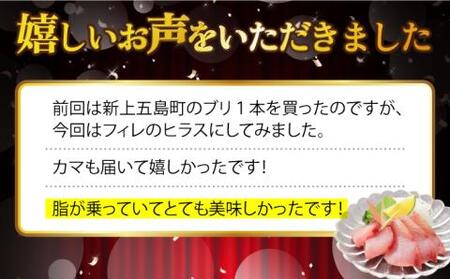 新上五島町産養殖ヒラマサ（ヒラス）片身フィーレ[RBP007] ヒラマサ ヒラス ヒラマサ ヒラス ヒラマサ ヒラス ヒラマサ ヒラス ヒラマサ ヒラス ヒラマサ ヒラス九州 長崎