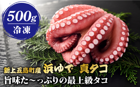 【旨味た〜っぷりの最上級タコ】五島 浜茹で 真タコ 冷凍 500g【カミティバリュー】[RBP017]