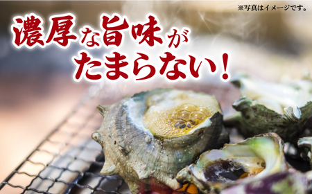 【コリコリ食感と濃厚な旨味！】新上五島町産 新鮮 活 サザエ 2kg【カミティバリュー】[RBP019]