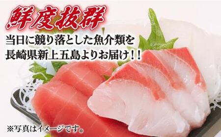 五島列島お刺身地魚柵セット 4?5人前[RBP059] 刺身 鮮魚 刺身 鮮魚 刺身 鮮魚 刺身 鮮魚 刺身 鮮魚 刺身 鮮魚 刺身 鮮魚九州 長崎