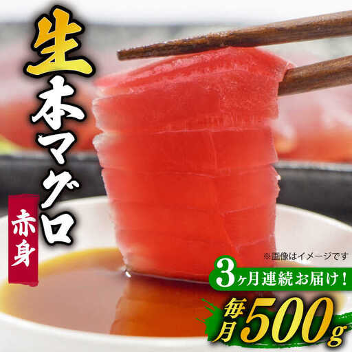 【全3回定期便】五島列島産養殖生本かみまぐろ 赤身 500g[RBP061] 本マグロ 本まぐろ 定期便 本マグロ 本まぐろ 定期便 本マグロ 本まぐろ 定期便九州 長崎