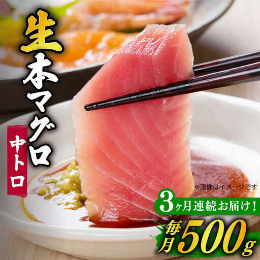 【全3回定期便】五島列島産養殖生本かみまぐろ 中トロ 500g[RBP064] 本マグロ 本まぐろ 定期便 本マグロ 本まぐろ 定期便 本マグロ 本まぐろ 定期便九州 長崎