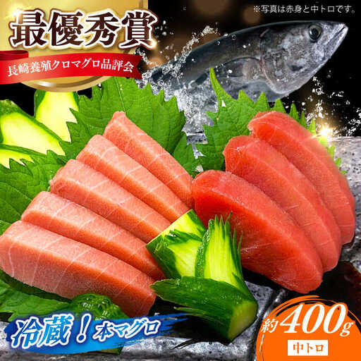 冷蔵！生本マグロ 中トロ 計約400g マグロ まぐろ 鮪 刺身 五島列島産養殖 [RBN016] 本マグロ 本まぐろ 本マグロ 本まぐろ 本マグロ 本まぐろ 本マグロ 本まぐろ九州 長崎