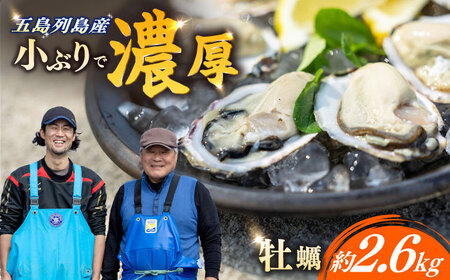養殖カキ 約2.6kg [RCN002] 牡蠣 牡蠣 牡蠣 牡蠣 牡蠣 牡蠣九州 長崎
