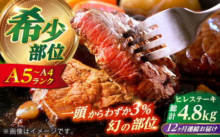 【全12回定期便】 長崎和牛 ヒレ ステーキ 200g×2 【KRAZY MEAT】 A5 A4 冷凍 和牛 肉 牛肉 BBQ[RCQ016]