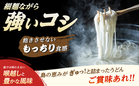 【釣りよかコラボ】 虎屋の五島うどん 塩 バラエティセット うどんすくい棒付き 【虎屋】[RBA079] 釣りよか 五島うどん うどん