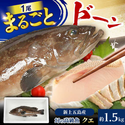 【幻の超高級魚をご家庭で】養殖 クエ まるごと 1.5kg×1尾【豊建設株式会社】[RAE018]