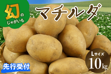 先行受付】【2025年4月出荷分】十勝めむろ産 マチルダ Ｌサイズ10kg 北海道産 国産 冷蔵 じゃがいも ジャガイモ 芋 いも イモ ポテト 10キロ  L 野菜 肉じゃが ポテトサラダ カレー BBQ お取り寄せ 北海道 芽室町me010-013c-24 | 北海道芽室町 | ふるさと納税サイト「ふる  ...