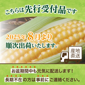 とうもろこし トウモロコシ 北海道 十勝 芽室町 生 野菜 人気 キャンプ飯 BBQ ソロキャン お取り寄せ【2024年分先行予約】北海道十勝芽室町　スイートコーン ドルチェドリーム 13本 me062-001-24c