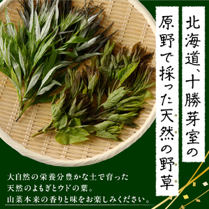【先行受付】【2026年5月発送】 天ぷら用 ヨモギとウドの葉セット 山菜 天然 冷蔵便 北海道 十勝 芽室町me011-006c