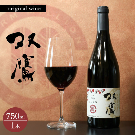 ファーム・ミリオンオリジナルワイン 双鷹（SOYO) 2020 750ml 山幸 ミディアムボディ 赤ワイン お祝い プレゼント ギフト 酒 お酒 お取り寄せ 送料無料 北海道 十勝 芽室町me016-009c
