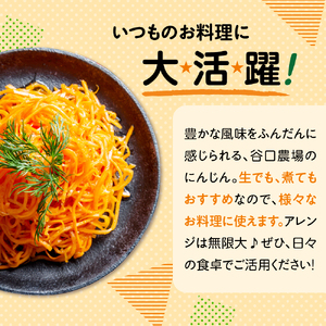【先行受付】【10月上旬より発送】北海道十勝芽室町 なまら十勝野 芽室町産にんじん５㎏　なまら十勝野 芽室町産 にんじん 5kg 産地直送 新鮮 野菜 北海道 十勝 芽室町me001-030c