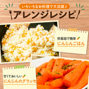 【先行受付】【10月上旬より発送】北海道十勝芽室町 なまら十勝野 芽室町産にんじん５㎏　なまら十勝野 芽室町産 にんじん 5kg 産地直送 新鮮 野菜 北海道 十勝 芽室町me001-030c