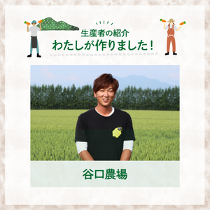 【先行受付】【10月上旬より発送】北海道十勝芽室町 なまら十勝野 芽室町産にんじん５㎏　なまら十勝野 芽室町産 にんじん 5kg 産地直送 新鮮 野菜 北海道 十勝 芽室町me001-030c