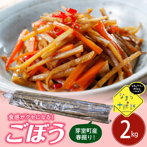 【先行受付】【2026年5月中旬より順次発送】北海道十勝芽室町 なまら十勝野 芽室町産 春掘りごぼう【柳川理想】M2㎏ 野菜 根菜 ゴボウ きんぴら 炊き込みご飯 お取り寄せ 送料無料 北海道 十勝 芽室町me001-031c