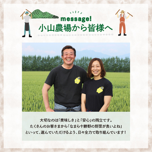 【先行受付】【2025年5月中旬より順次発送】北海道十勝芽室町 なまら十勝野 芽室町産 春掘り美肌ごぼう【ユキシズク】L2㎏ 野菜 根菜 ゴボウ きんぴら 炊き込みご飯 お取り寄せ 送料無料 北海道 十勝 芽室町me001-034c