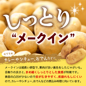 【先行予約 11月より順次発送】北海道十勝芽室町 なまら十勝野 芽室町産メークイン・玉ねぎ　各5kg　me001-036c