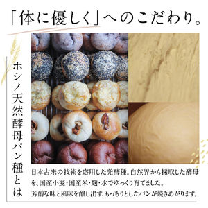 北海道十勝芽室町 ベーグルおまかせ10点セット ベーグル おまかせ プレーン 手作り ヘルシー 北海道産 芽室町 me070-001c