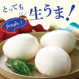 明治北海道十勝チーズ 生モッツァレラ 3パック 明治 チーズ 北海道産 生乳100％ ミルク感 生 もっちり コク 新鮮 濃厚 うまみ 熟成 こだわり 小分け 十勝 乳製品 人気 美味しい me003-112c 