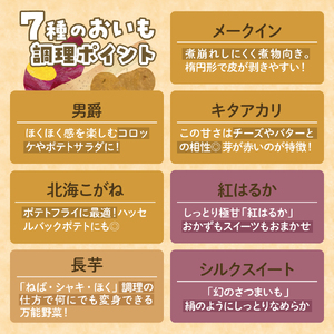 北海道十勝芽室町　なまら十勝野のいもづくし 7種 計4kg ジャガイモ じゃがいも メークイン 男爵 キタアカリ 北海こがね 紅はるか シルクスイート 長芋 産地直送 おすすめ 北海道十勝 芽室町 me001-048c