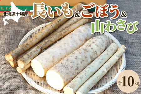 北海道十勝芽室町 ファーム・ミリオンの贅沢根菜セット（長芋・ごぼう・山わさび）【土付き】　長芋 長いも  とろろ 芋 ごぼう ゴボウ 山わさび わさび 根菜 野菜 北海道 十勝 芽室町 送料無料 お取り寄せ me016-015c