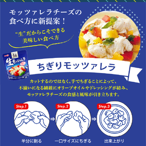明治北海道十勝生モッツァレラ プレーン×バジル 各100g×3パック 計6パック ナチュラルチーズ おつまみ サラダ 乳製品 お取り寄せ グルメ 送料無料 芽室町　me003-124c