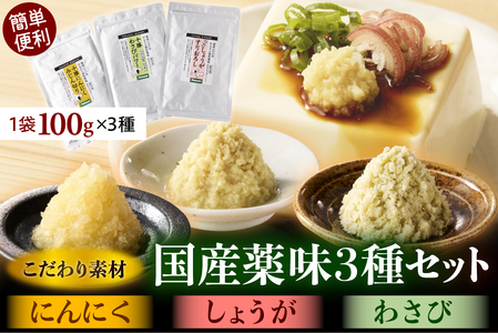 北海道十勝芽室町　簡単便利 薬味3種セット（にんにく・しょうが・わさび）各100g×3種 ワサビ わさび 山葵 ショウガ しょうが 生姜 にんにく 調味料 おつまみ 味付け 薬味 北海道 十勝 芽室町 me011-009c