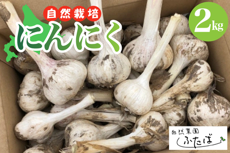 北海道十勝芽室町　自然菜園ふたば　宇佐美亮のにんにく　2kg　にんにく ガーリック 薬味 料理 ご家庭用 芽室町 産地直送me074-006c