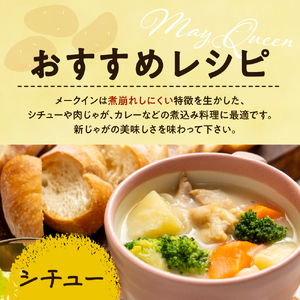 【先行受付】【2026年10月下旬より順次出荷】北海道 十勝芽室町 メークイン Mサイズ 10kg me078-007c-26