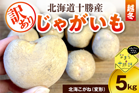 【訳あり】北海道十勝芽室町 農家応援じゃがいも(越冬)5㎏　北海こがね（変形）ジャガイモ じゃがいも 産地直送 おすすめ 北海道十勝 芽室町 me001-051c-3