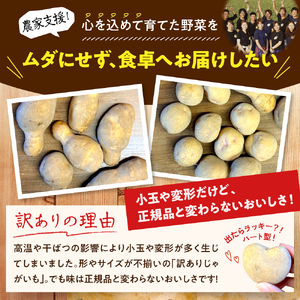 【訳あり】北海道十勝芽室町 農家応援じゃがいも(越冬)5㎏　北海こがね（変形）ジャガイモ じゃがいも 産地直送 おすすめ 北海道十勝 芽室町 me001-051c-3