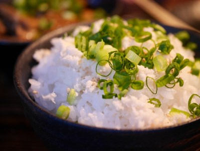 北海道十勝芽室町 なまら十勝野の山わさび500g me001-002c