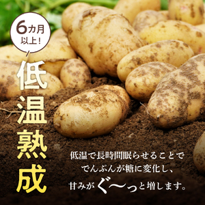 じゃがいも じゃがいも ばれいしょ 野菜 10kg メークイン 新じゃがいも