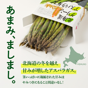 【先行受付】【2025年出荷分】北海道十勝芽室町 なまら十勝野のアスパラ1kg アスパラ アスパラガス 野菜 やさい me001-007c-25